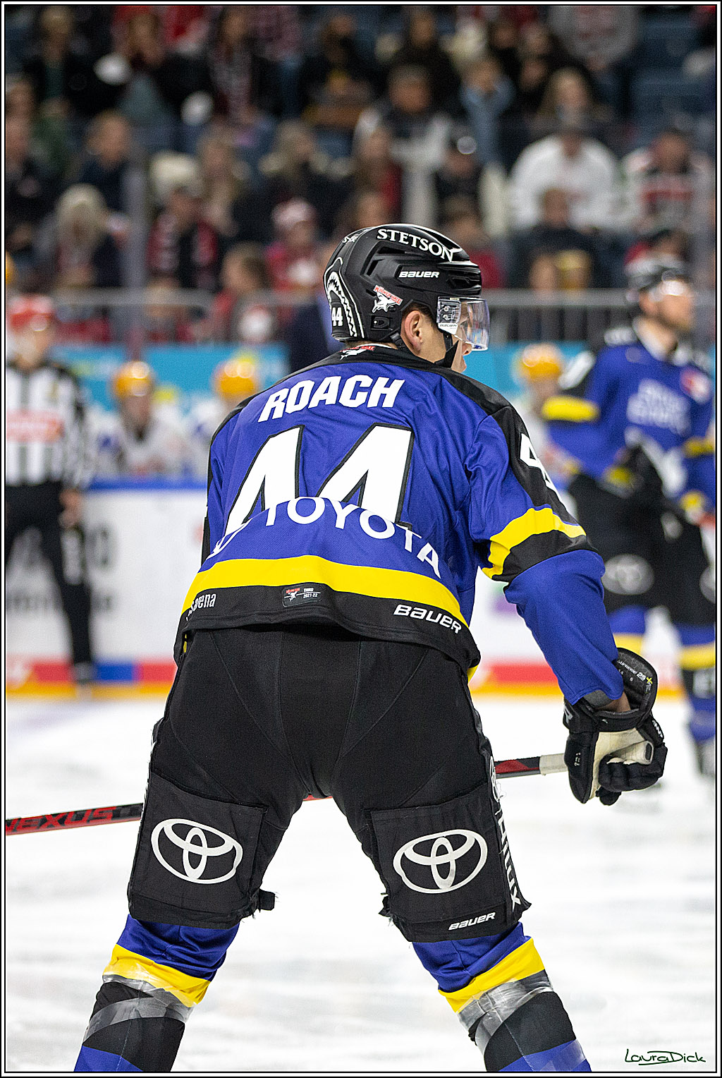 PENNY DEL; Koelner Haie- Fishtown Pinguins Bremerhaven; Koeln, 23.11.2021